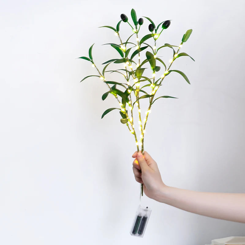 Illuminated Olive Branch