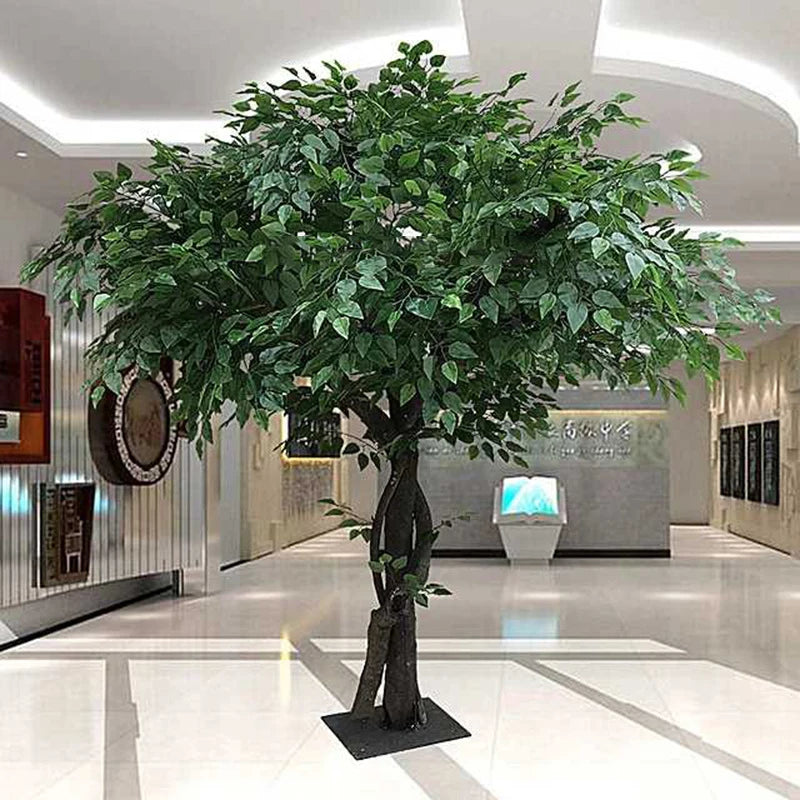 Monumental Banyan Tree – 2.5m