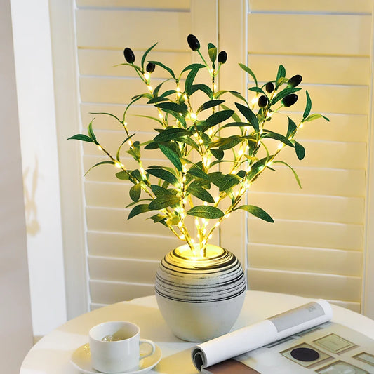 Illuminated Olive Branch