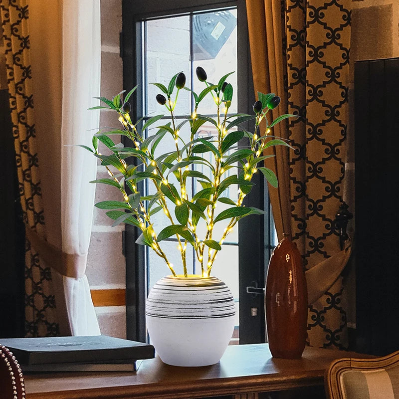 Illuminated Olive Branch