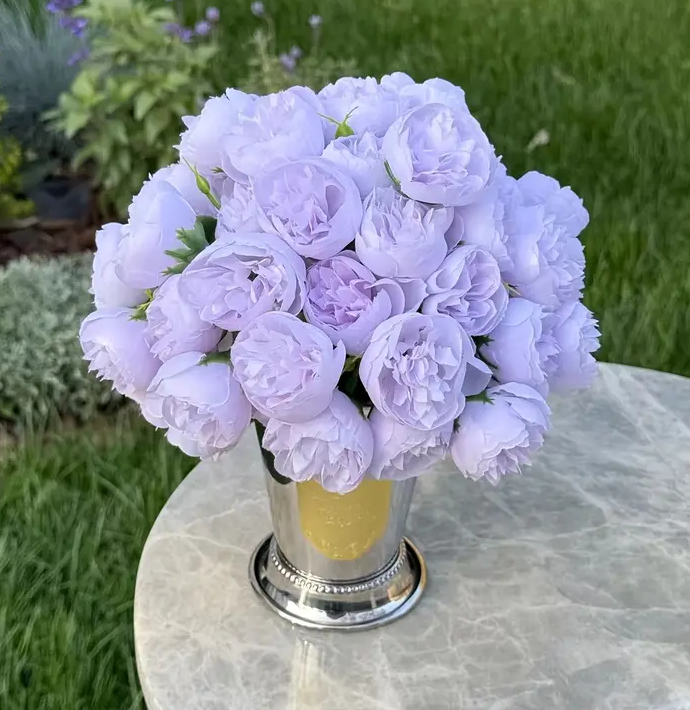 Silk Purple Peony Cascade in Silver Vase
